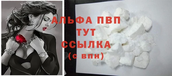 спиды Нея