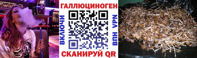 где купить наркоту  OMG рабочий сайт  Псилоцибиновые грибы прущие грибы  Белебей 