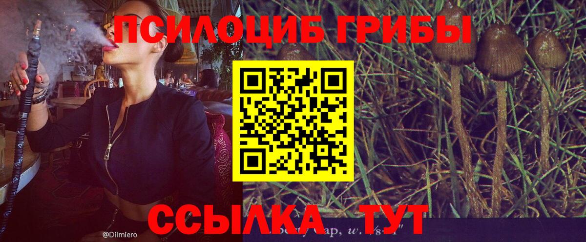 Псилоцибиновые грибы прущие грибы Белебей