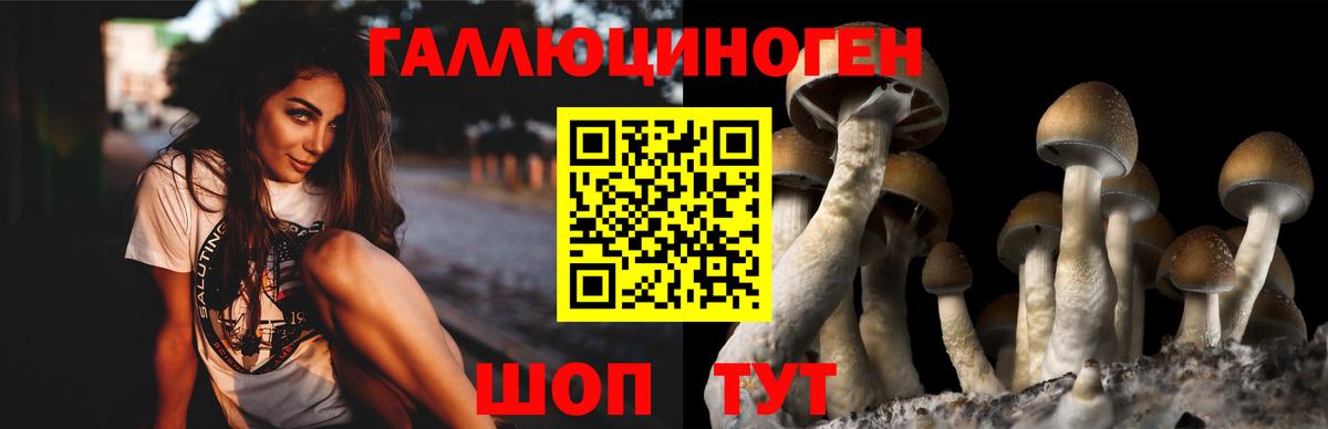 Белебей  Псилоцибиновые грибы прущие грибы  Вход с VPN 